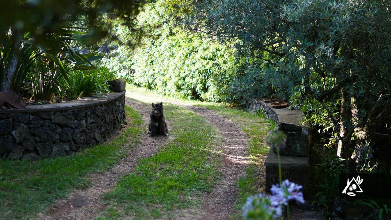 Quinta Do Paraiso Porto Martins Extérieur photo
