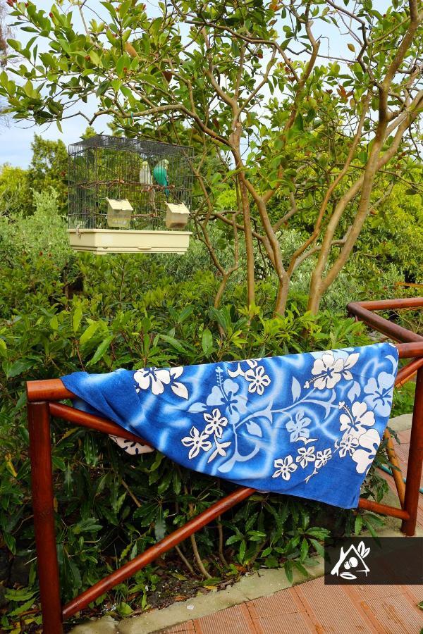 Quinta Do Paraiso Porto Martins Extérieur photo